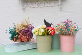 3Pcs Metal Herb Plant Pot with Tray and 10Pcs Mini Chalkboard Wooden Plant Tags Stakes