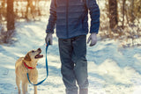 Ski Snow Warm Gloves with Touchscreen Fingers