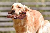 Nylon Indestructible Dog Chew Toy for Aggressive Chewers