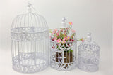 Iron Wire Birdcage Shape Succulent Pot Frame Hanging Planter Plant