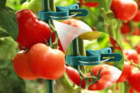 Plant Support Clips Garden Vine Clips for Climbing Plants