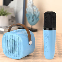 Portable Bluetooth Karaoke Machine with 2 Microphones for Home Party KTV