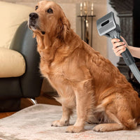 Pet Grooming Vacuum Brush Kit for Dyson V6 V7 V8 V10 V11 Vacuum