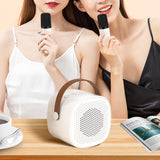 Portable Bluetooth Karaoke Machine with 2 Microphones for Home Party KTV