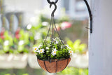 10Pcs Flower Pot Hook Hanging Basket with 3 Prong Hanger