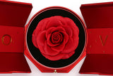 Eternal Rose Flower with Necklace Preserved Rose Necklace in Box