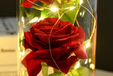 Three Rose in Glass Dome Eternal Flower with LED Light