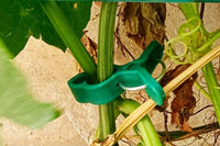 Plant Support Clips Garden Vine Clips for Climbing Plants