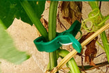 Plant Support Clips Garden Vine Clips for Climbing Plants