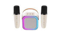 Portable  Wireless Karaoke Machine with Mics