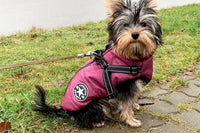 Water-Resistant Warm Winter Dog Harness Coat