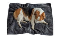 Water-Resistant Pet Couch Bed Blanket