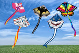 Easy to Fly Huge Kites with Tail for Kids and Adults