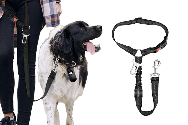 Removable Dog Seat Belt Harness for Car Adjustable High Elastic Bungee