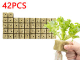 42Pcs Soilless Cultivation Substrate Seedling Grow Cubes