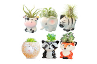 6pcs Cute Animal Shaped Plant Succulent Pots Indoor Outdoor Planter