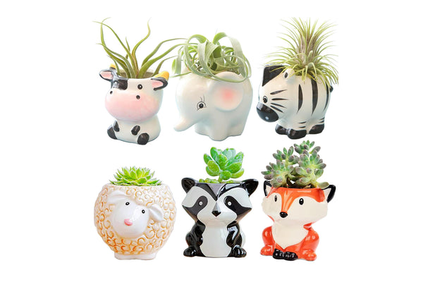 6pcs Cute Animal Shaped Plant Succulent Pots Indoor Outdoor Planter