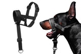 Adjustable Dog Head Collar with Padded Nose Loop for Training