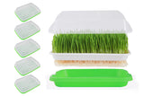5 Pack Seed Sprouter Trays for Microgreens Soil-Free Growing