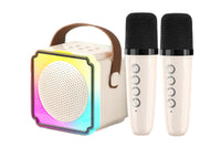 Mini Karaoke Machine Portable Bluetooth Speaker with 2 Wireless Microphones