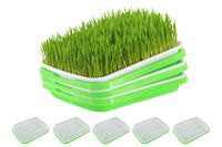 5 Pack Seed Sprouter Trays for Microgreens Soil-Free Growing