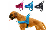 Plush Padded Dog Vest Harness and Leash Set