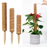 Coir Moss Pole Extension Plants Support Plant Support Pole