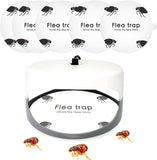 5Pcs  Circular flea trap sticky insects trap sticky paper for flea