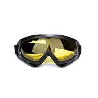 Ski Goggles