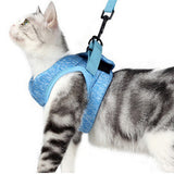 Pet Harness and Leash