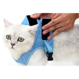 Pet Harness and Leash