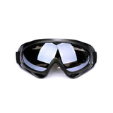 Ski Goggles