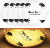 5Pcs  Circular flea trap sticky insects trap sticky paper for flea