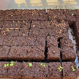 Handheld Metal Soil Blocker Maker Seedling Plant Soil Blocking Tool