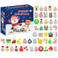 Fidget Calendar Advent Toy Christmas Toys Xmas Pop Simple Dimple Toy Set