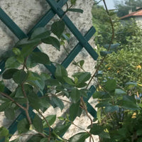 180x30cm Expandable Garden Climbing Plants Support Fence Plastic Trellis Rack Outdoor Wall Decor