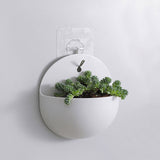 2Pcs Wall-Mounted Planters