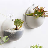 2Pcs Wall-Mounted Planters