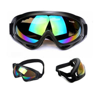 Ski Goggles