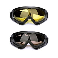 Ski Goggles