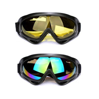 Ski Goggles