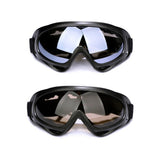 Ski Goggles