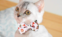 Christmas Pet Collar with Two Bow Ties Set