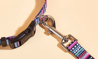 Boho Pet Collar with Leash Set