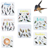 Set of 6 Bird Pun Coasters