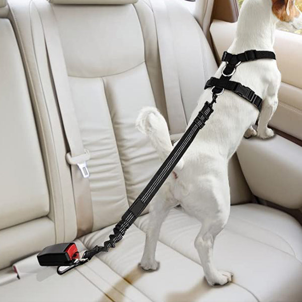 Adjustable Pet Car Harness Strap Dog Seatbelt