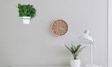 Metal Wall Plant Pot Loop Holder