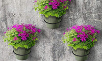 Metal Wall Plant Pot Loop Holder