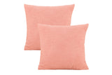 2Pcs Decorative Pillow Covers Pillowcase