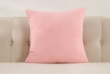 2Pcs Decorative Pillow Covers Pillowcase